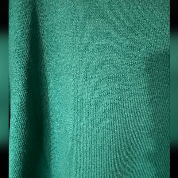 Disney Peter Pan Green Letterman Collared Sweater BoxLunch Exclusive Size Med - Picture 5 of 8